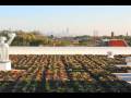videos de Fountain View Condos