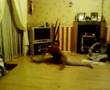 splits