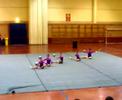 Torneo gimnasia ritmica montañana categoria alevin Torneo gimnasia ritmica montañana categoria alevin