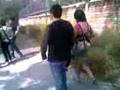 videos de pollo vs yuka