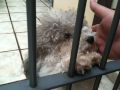 IMG_0183.MOV