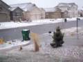 videos de Snow