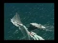 Video Alinghi