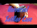 Universal SatNav Case