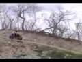 YFZ 450 & YZ 125 compilation track video