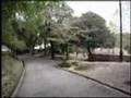 Nara Park 【てこてこ】ならをゆく 1/5 奈良 Nara Japan