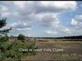 Ons Gelderland (Gelders volkslied)