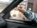 MOV01788.3GP
