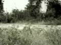 videos de Tiger Claws 1992-part 2