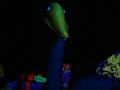 Haunted Mansion Holiday 2008 (part 2)