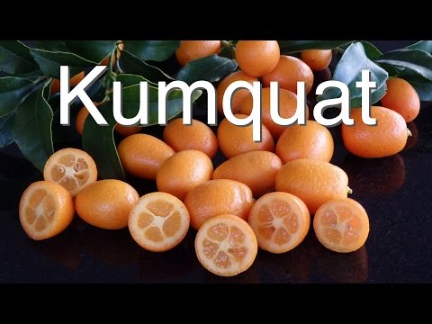 how to take care of kumquat tree