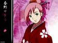 Naruto/Naruto Shppuden Couples