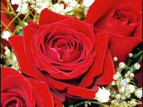 موسيقى تركية 04