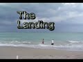 Bull Shark Lemon Shark release Bull Shark Lemon Shark release