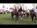 Wielkanoc Pietrowice Wielkie 2011 Cz. 2