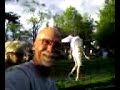 The iguanas - July 19, 2008, 06:30 PM