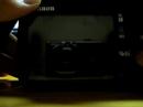 450D bugs