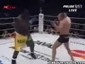 Miss Matched Fight