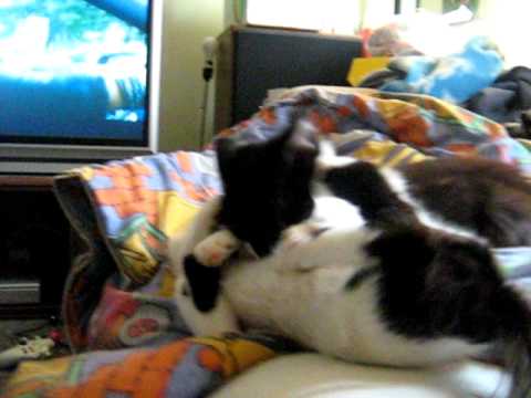 Babies Goofing around