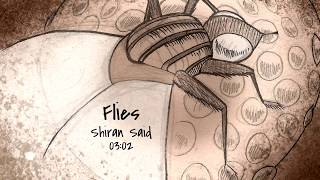 Flies