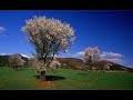 Poesis-Cantec-soptit