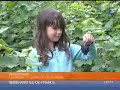 Journal France 3 Ile-de-France : 12-13