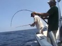 Jigging - www.bluewaterjigs.com.