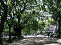 videos de ginamaría hidalgo - en el jardín del alma; el último organito; desde el alma