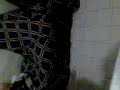 bailando electro technotronik