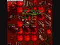 Tibia Isara Pk Tibia Isara Pk