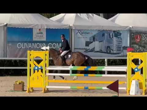 SUNDANCE PRINSEVELD - 6YO CLASS - MET OLIVA - FEBRUARY 2024