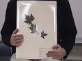 Burnworth teaches leaves Burnworth teaches leaves
