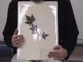 Burnworth teaches leaves