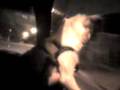 videos de Max no carro