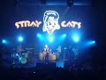 Stray Cats - Sweet Gene Vincent @Z�rich 2008