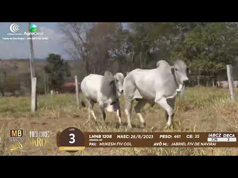 509 LEILO VIRTUAL MB LEILES