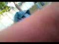 videos de Foto Numero 003