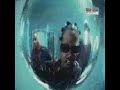 Yukmouth (Luniz) Ft Redman - Hypnotize