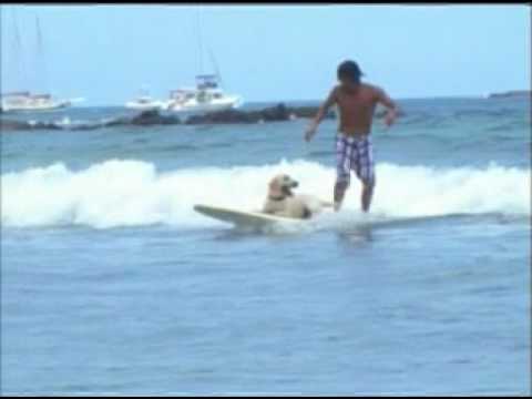 Surfing with Indika