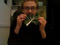 A Moment With Vegetables