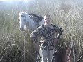 Ver vídeo