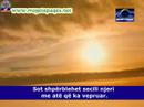 Shqip Dawet Shqip Dawet