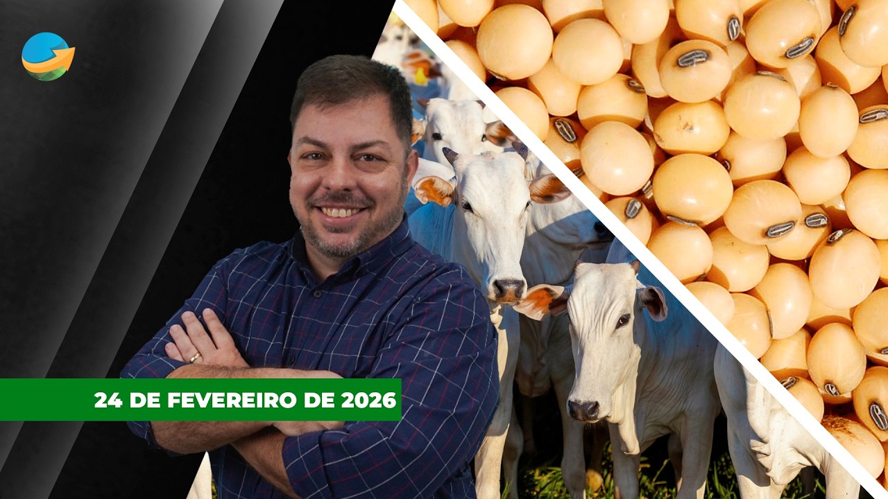 Arroba em São Paulo chega aos R$350 para o boi padrão e R$355 no China; soja sobe com demanda ...