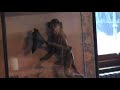 Winter In The Black Country December  2009 - Music The Daily Planet by Love
