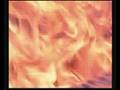 FSSP Our Fire Safety DVD's