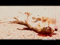 sweatyfish-David Bowie Trent Reznor-I\