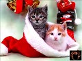 Decembrie Decembrie