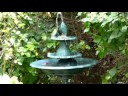 Gold finches in the new bird bath