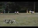 edgewood joppatowne steelers 5 6 gold edgewood joppatowne steelers 5 6 gold