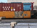 TRAIN YARD AWSOMENESS!